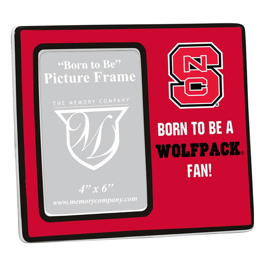 North Carolina State University Youth Frame